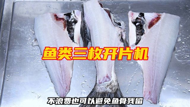 鱼类三枚开片机自动鱼类去中骨机全套水产深加工设备