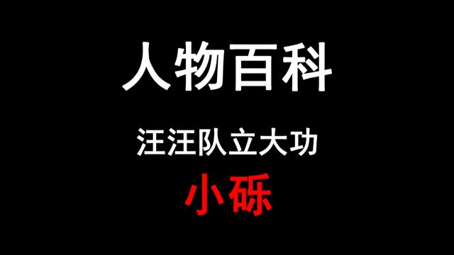 人物百科——小砾