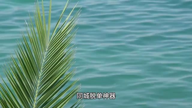 同城约会社交平台真实好用的有4个