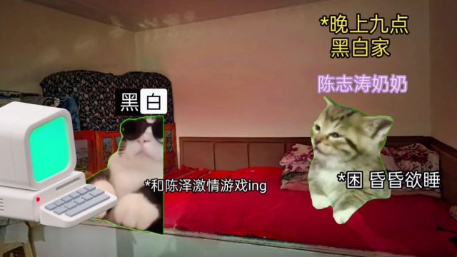 陈泽孝子贤孙传媒#猫meme#陈泽#豆荚小助手#驾校一点通