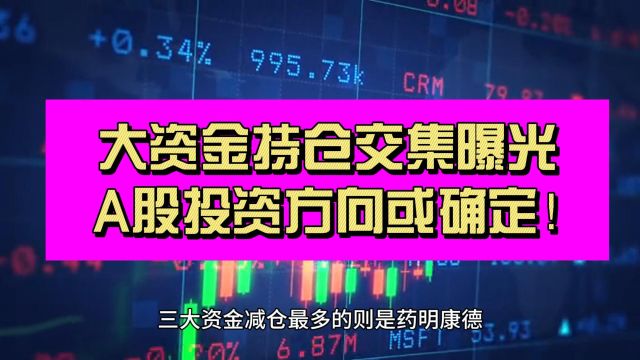 三大资金共振 基本逻辑加持 这个方向或成为A股最强音!