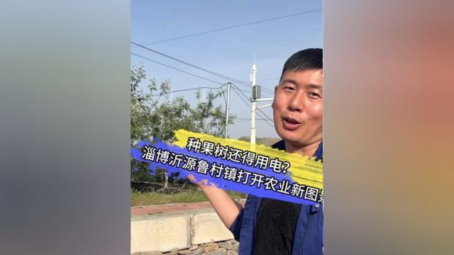 种果树还得用电?淄博沂源鲁村镇打开农业新图景|探“先”山东