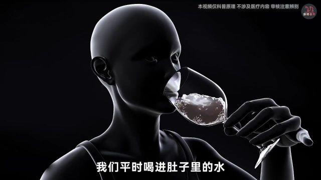 如果割一只腰子会怎样呢?