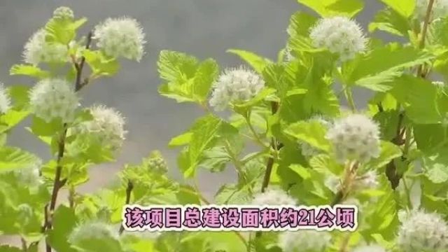 新一轮“回天行动计划”提档升级↑