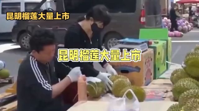 榴莲爱好者福音!昆明榴莲大量上市,价格跳水