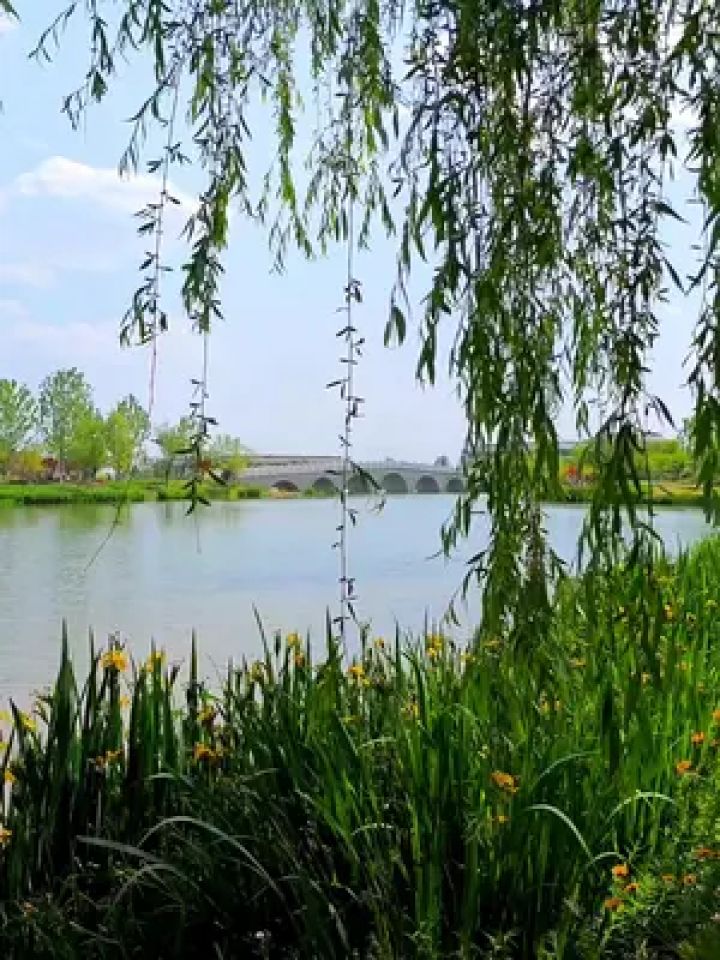 九头十八匠匠心创未来 #凤城记忆 #康养晋城