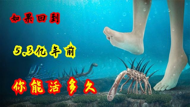 如果回到5.3亿年前,你能活过5分钟吗?古生代末期96%的生物灭绝