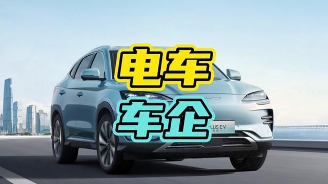 国产新能源车企谁最有钱呢?#新能源 #汽车 #市值