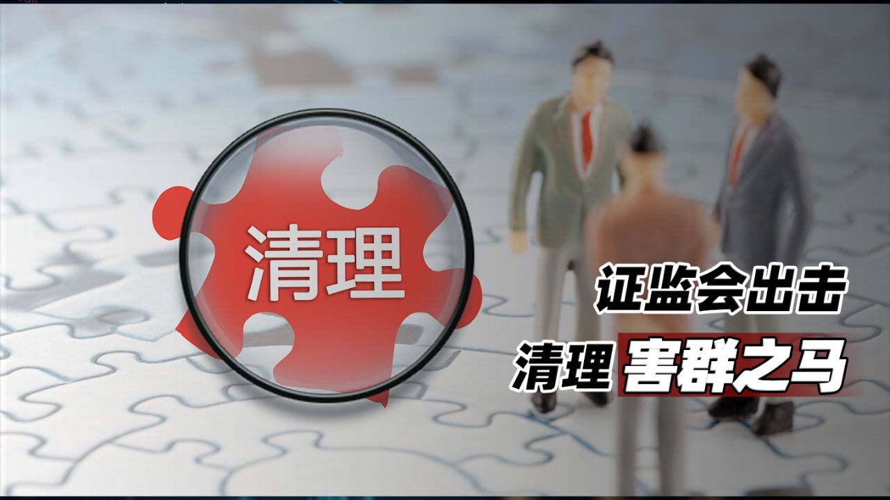 证监会出击:清理害群之马