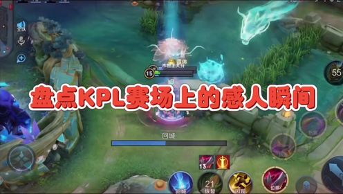 盘点kpl赛场上的感人瞬间_高清1080P在线观看平台_腾讯视频
