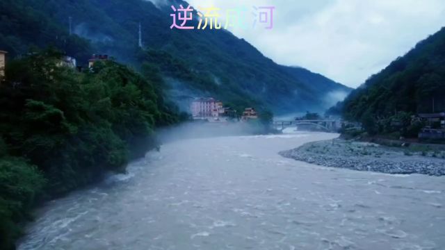 经典歌曲~逆流成河