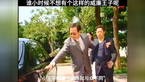 谁小时候不想有个这样的威廉王子呢,一出场就与众不同绿光森林