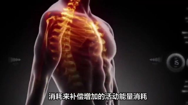 减肥新发现:体脂高者能量补偿更强,影响减肥效果