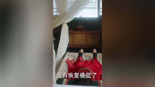 与凤行:王爷被救出囚笼后,视力却一直没恢复,都不知是谁在帮她