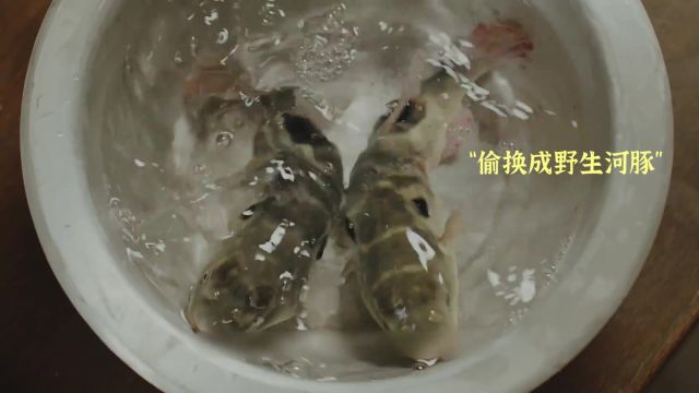 女人仅用靠一条鱼竟全歼鬼子大佐,看完她操作我直呼牛掰!影视 国产 鬼子 河豚肉