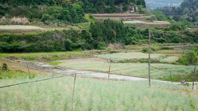 农忙时节,大地换上了金黄的新装,收获的喜悦洋溢在每个农民的脸上.但在这欢声笑语的背后,隐藏着他们的无数辛勤与汗水