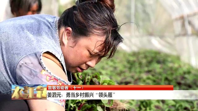 勇当乡村振兴“领头雁”