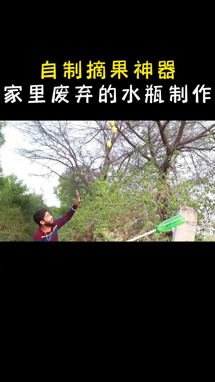 怎么才能吃到长到树梢的果子 看看这款摘果神器 只用水瓶就能制作 (1)