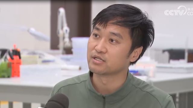 穿过历史找到你,武王墩铜鼎上新,古代礼器再添“标准器”