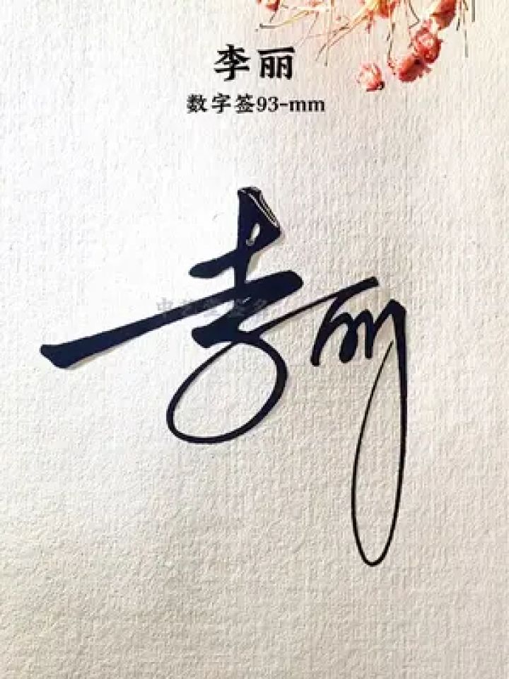 签名就用简单又漂亮的方式来写 李丽,数字签93-mm,真的简单大气又时尚