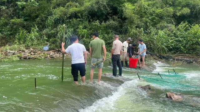 上游大型水库摔下很多大鱼,村民下游捡了一大堆,壮观场面难得看到