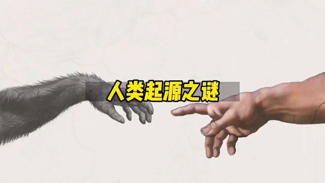 人类起源之谜