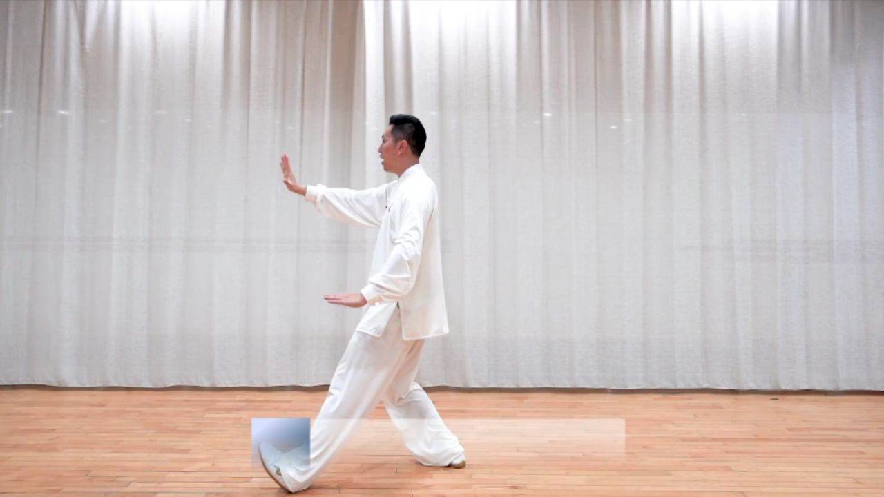 24式太极拳背面分解