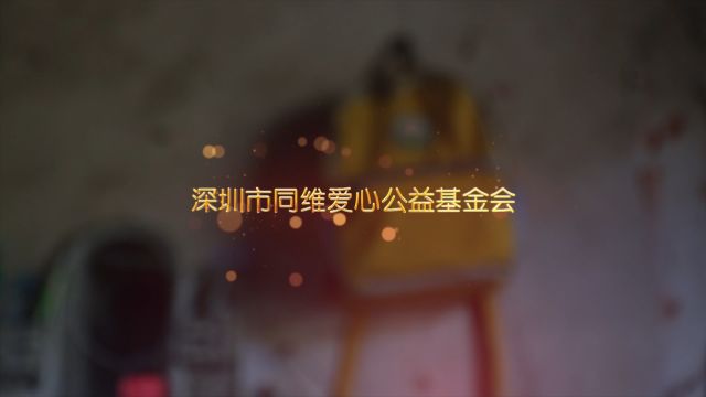 2024同维爱心公益基金会简介视频