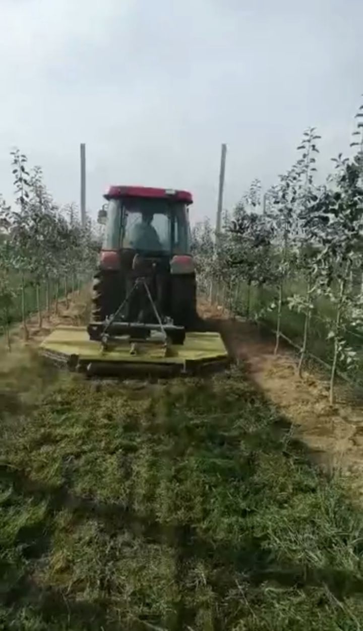 割草机,拖拉机后挂割草机