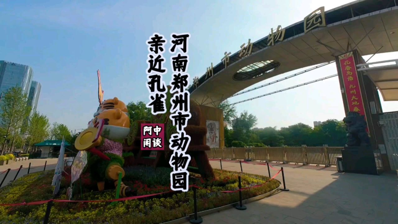 "河南郑州市动物园"亲近孔雀