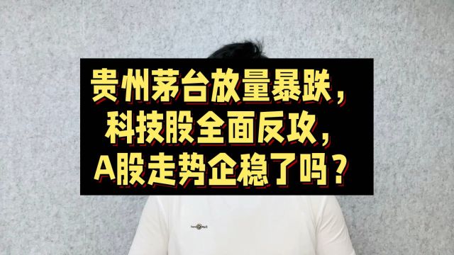 贵州茅台放量暴跌,科技股全面反攻,A股走势企稳了吗?