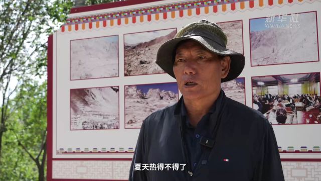 绿染高原:拉萨南北山绿化工程完成营造林近40万亩