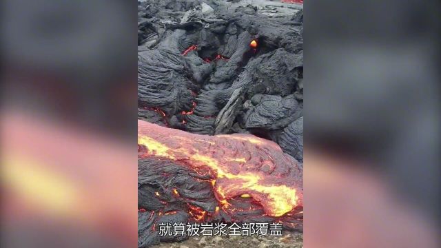 涨识科普一下火山岩浆岩浆