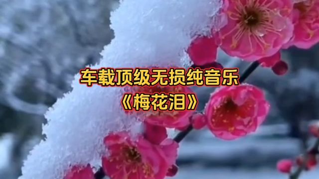 无损音质!车载顶级纯音乐《梅花泪》,催泪伤感