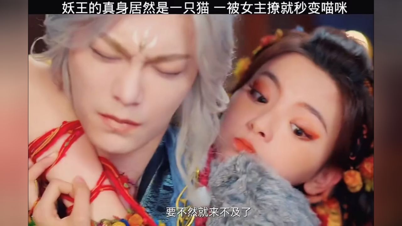 他怎么这么爱中合欢散