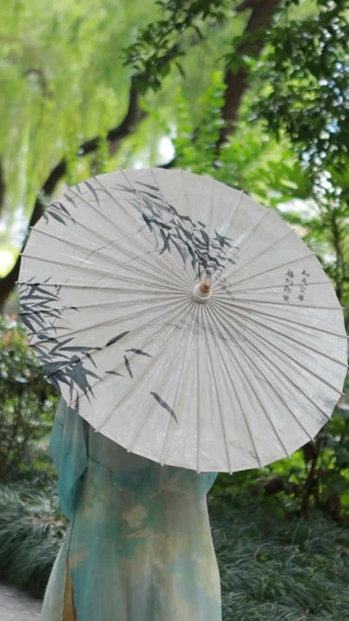 油纸伞竹子,油纸伞_大山谷图库