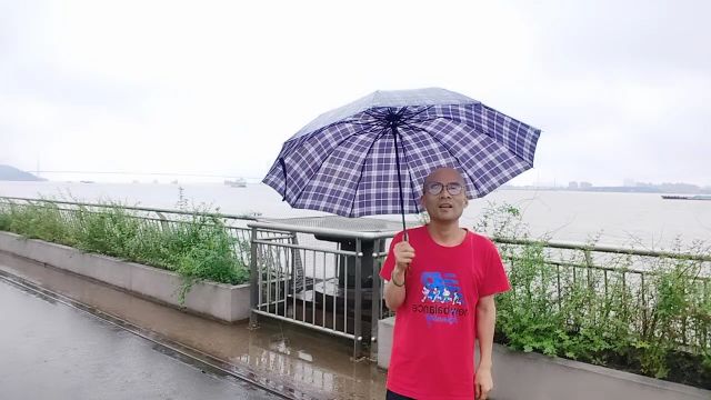 雨中的江阴长江大桥边