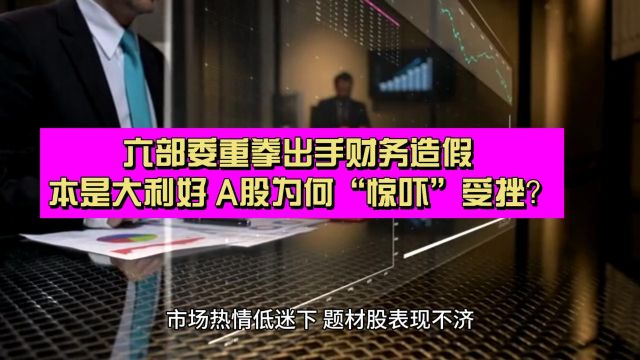 六部委重拳出手财务造假 本是大利好 A股为何“惊吓”受挫?