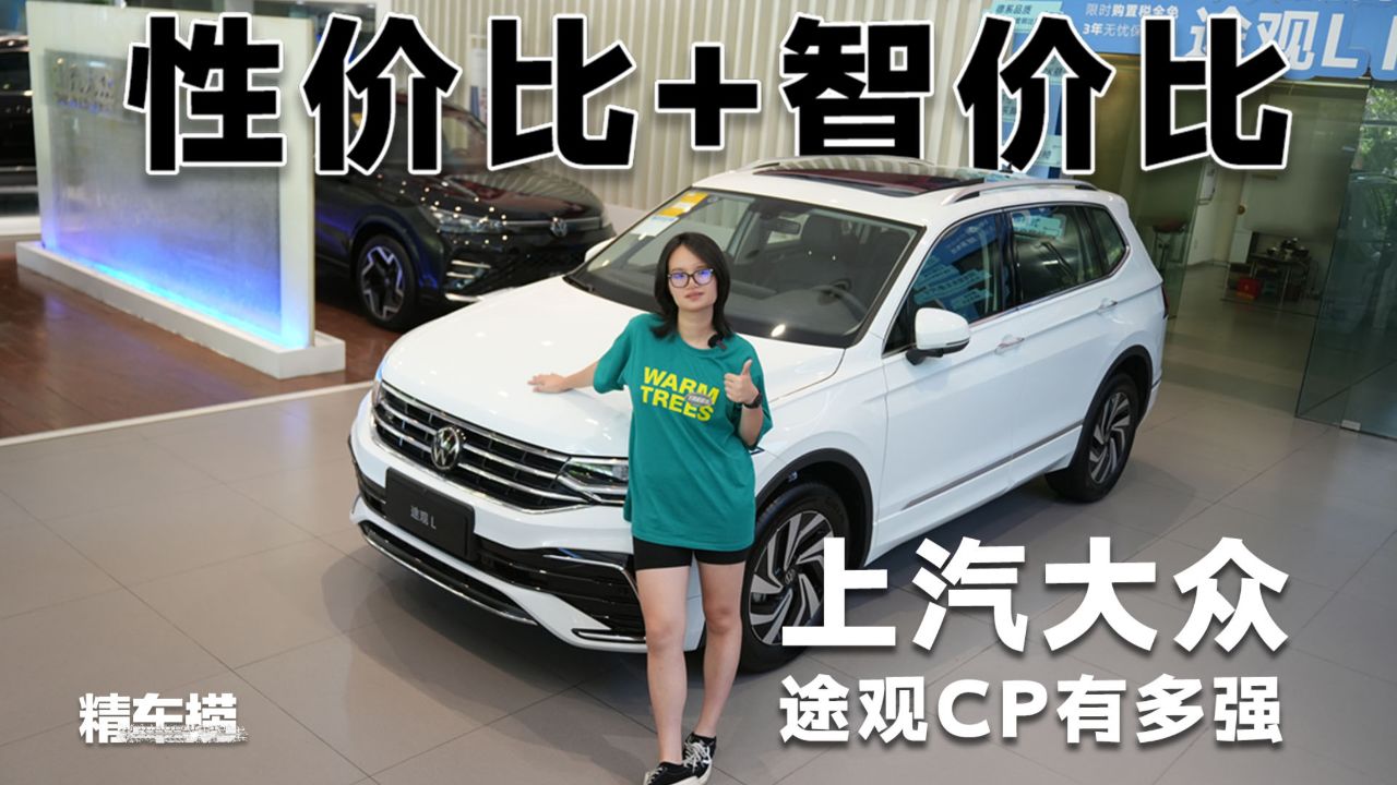 途观家族联手作战!预算15万-25万级,或成中高级suv最
