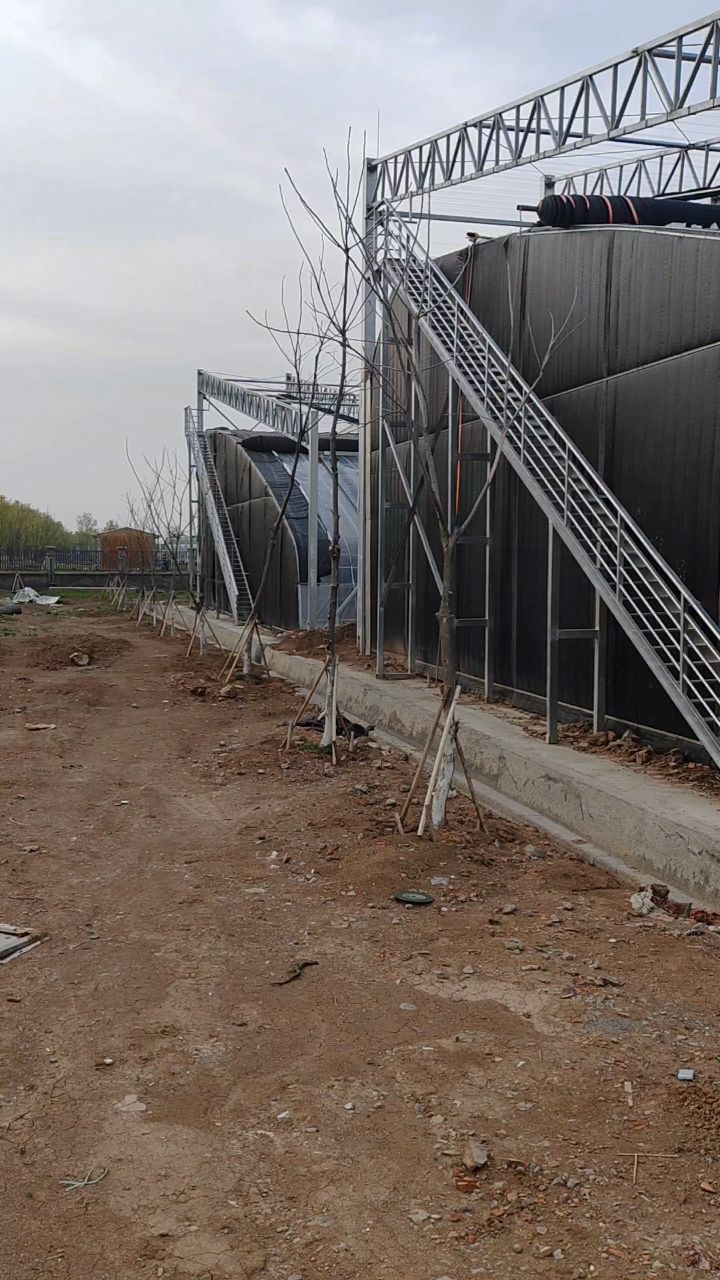 半坡棚日光温室大棚