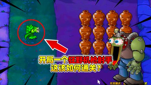 植物大战僵尸杂交版：开局一个狂野机枪射手！这该如何通关呢？_高清