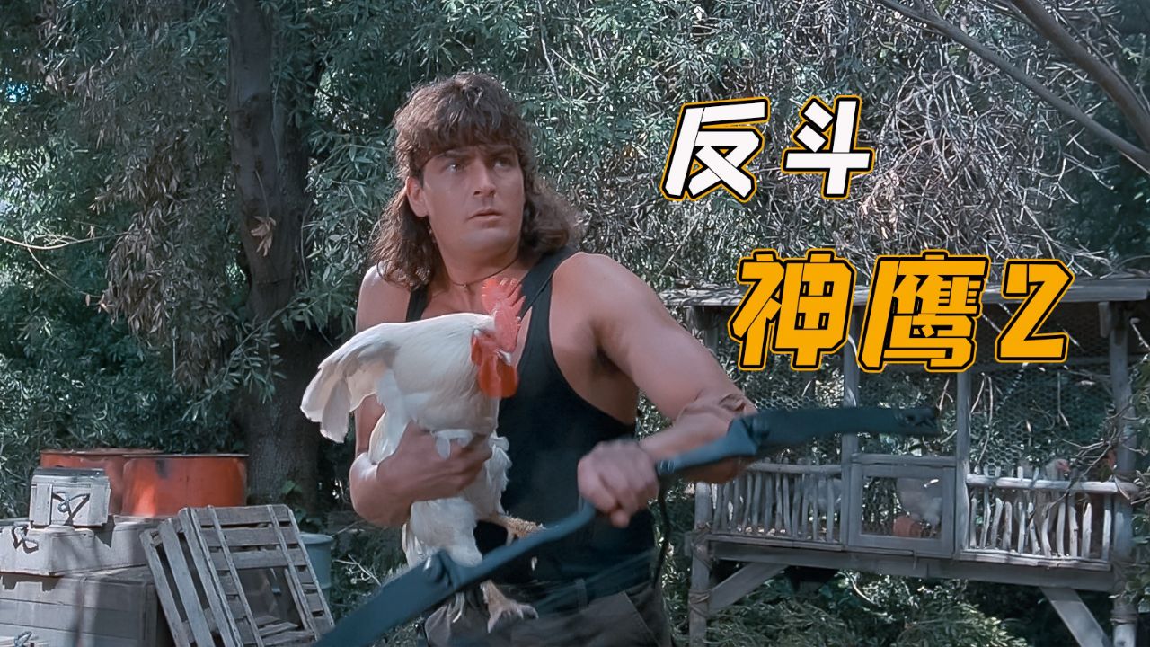 无厘头爆笑喜剧,武器玩出新花样,公鸡都能箭矢《反斗神鹰2》