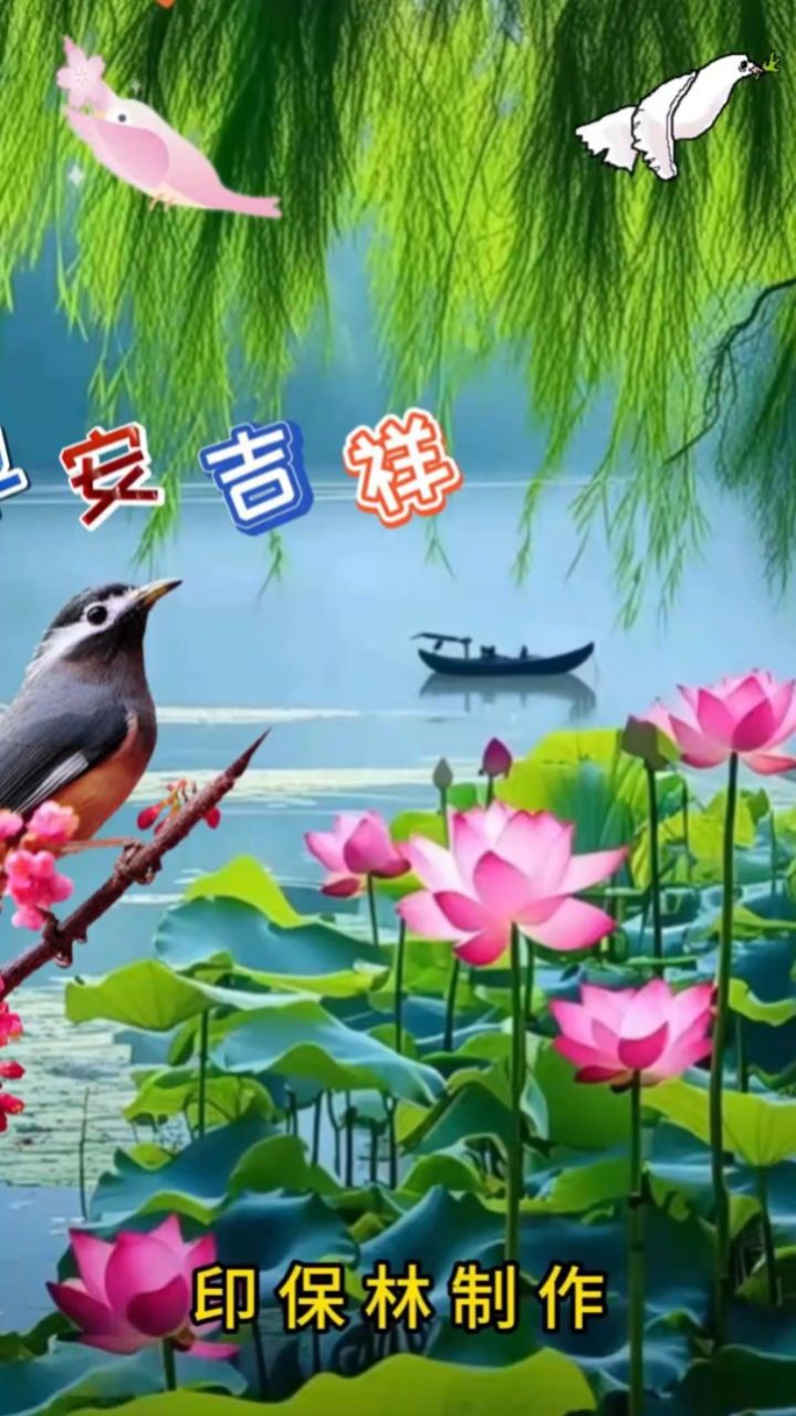 鸟语花香早安图片大全图片