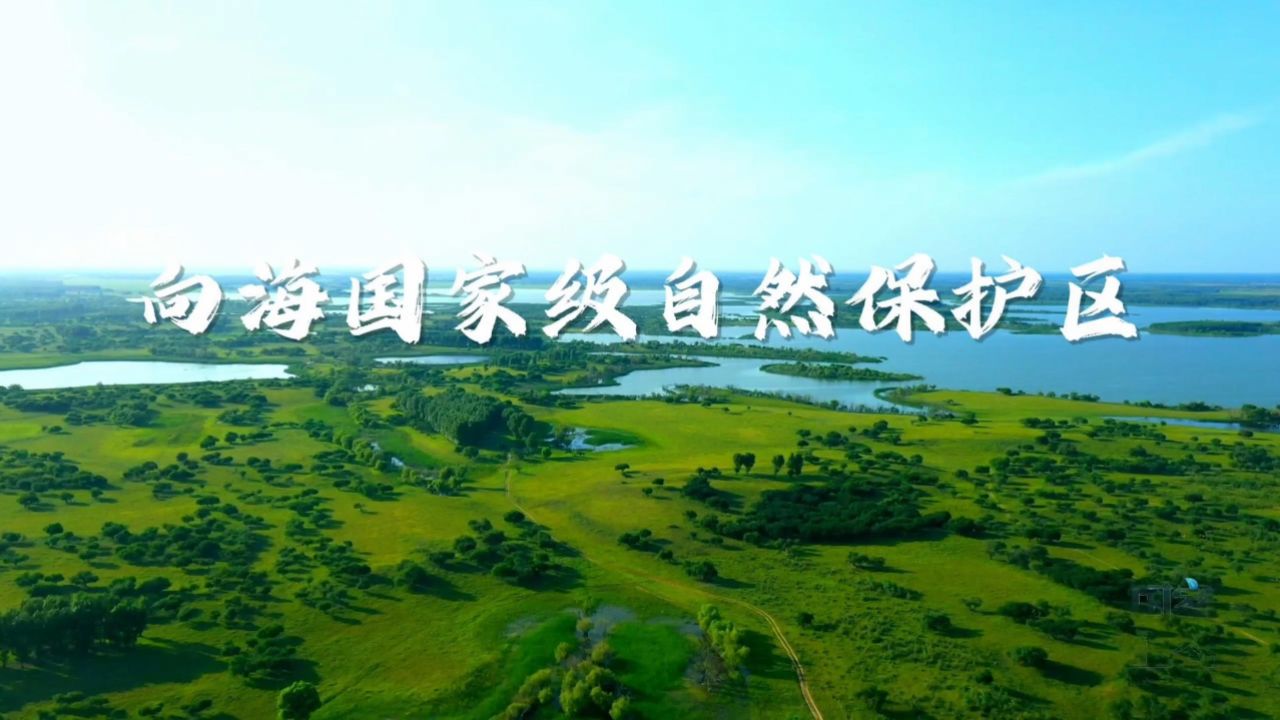 生态文明，美丽中国：向海国家级自然保护区_高清