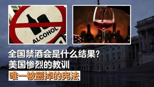 全国禁酒会有什么后果？美国惨烈的教训，最终删掉一条宪法才解决_高清1080P在线观看平台_腾讯视频