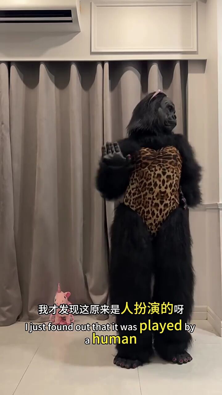 这大猩猩跳的舞蹈还不错啊.