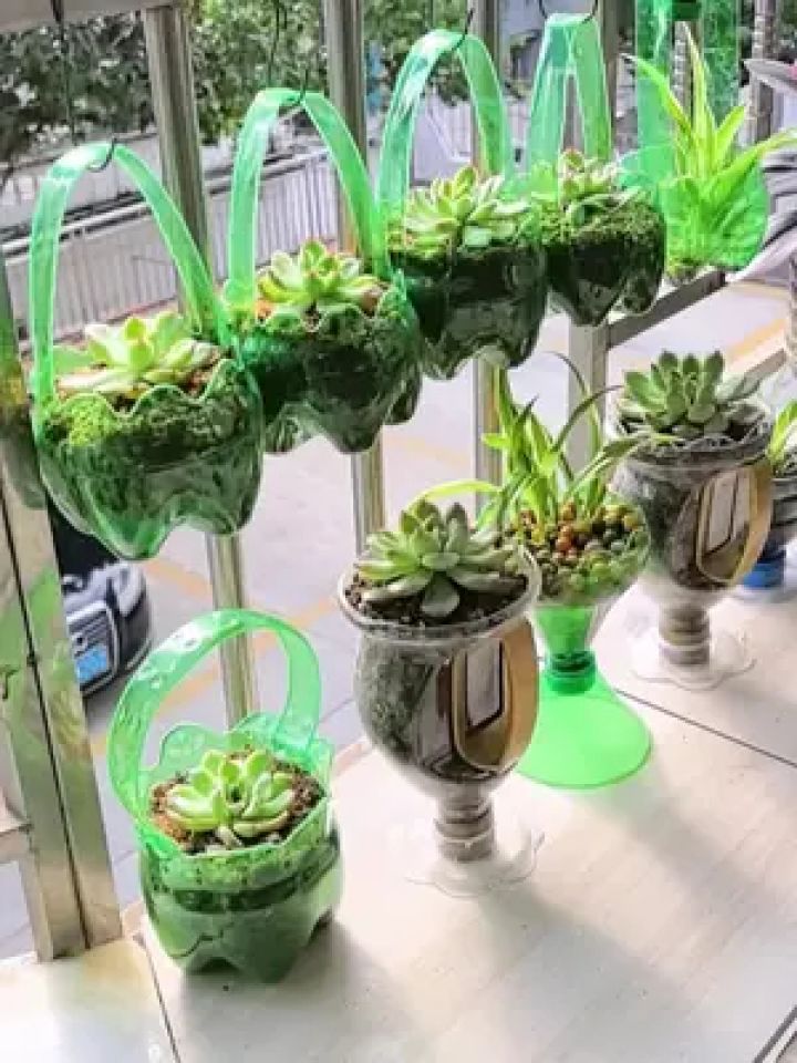 饮料瓶变废为宝做花盆挂在阳台美美哒 #手工花盆 #手工 #自制花盆 #变