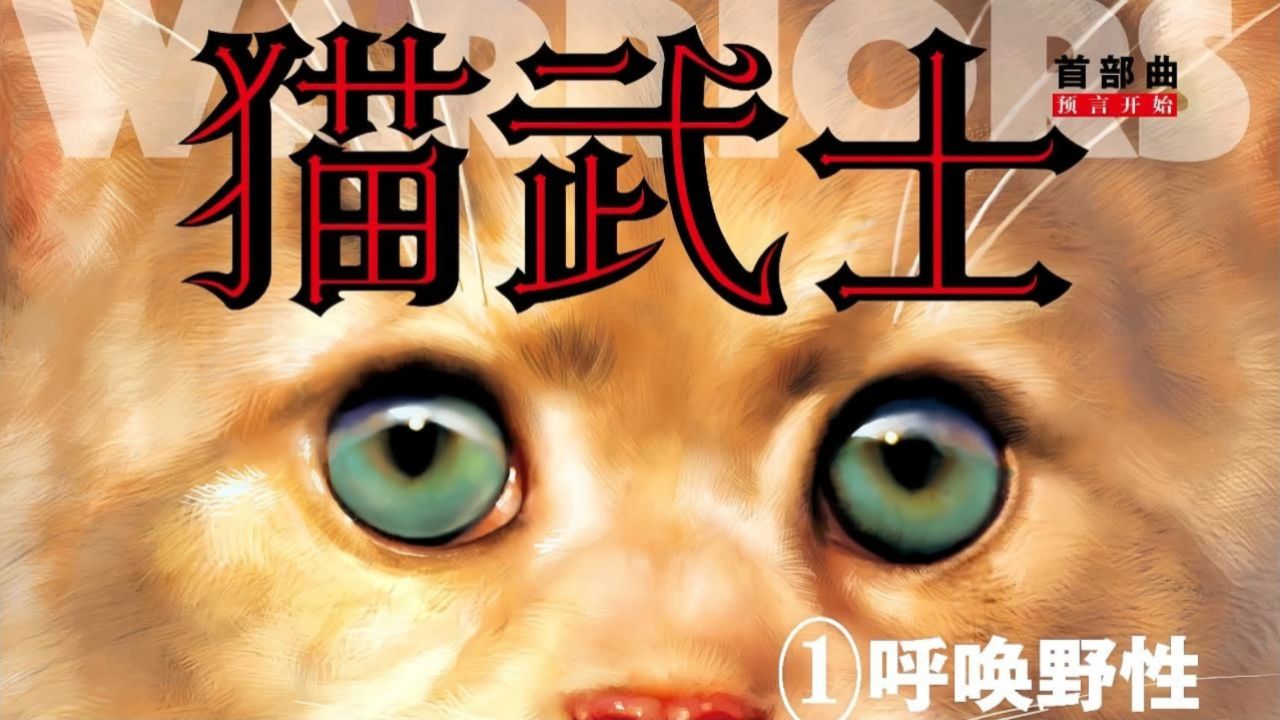 【猫武士】第一章片段·我家金金武士登场_高清1080P在线观看平台_腾讯视频