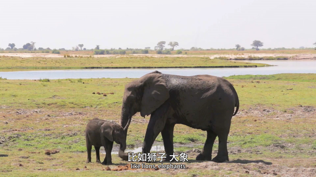 我的厨房天地 第二季 英文版 4集