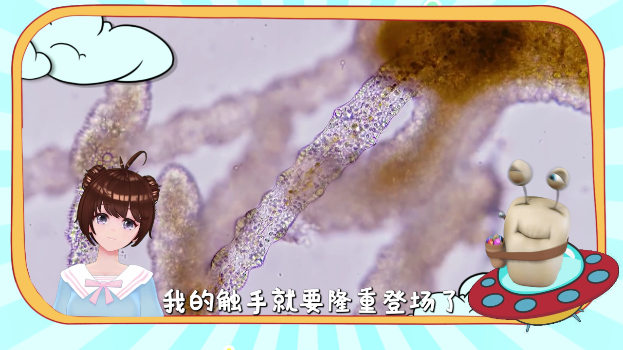 白白侠的动物朋友 17集